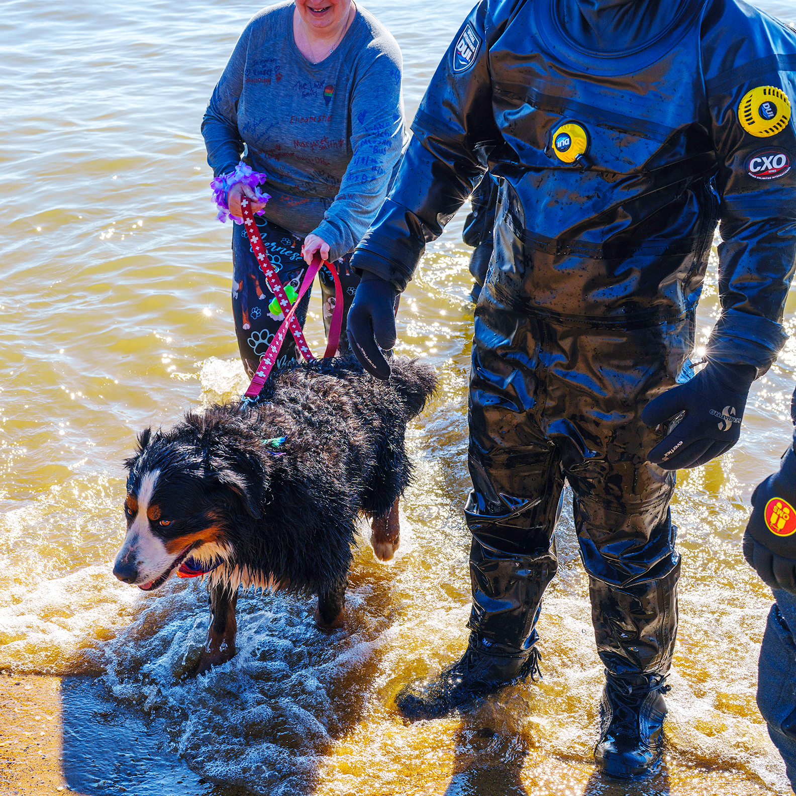 Polar Bear Plunge